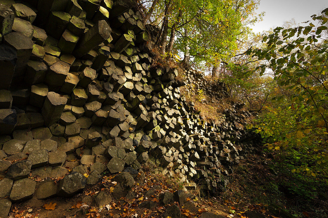 Basaltsäulenwand am Gangolfsberg bei Oberelsbach, Rhön, Bayern, Deutschland