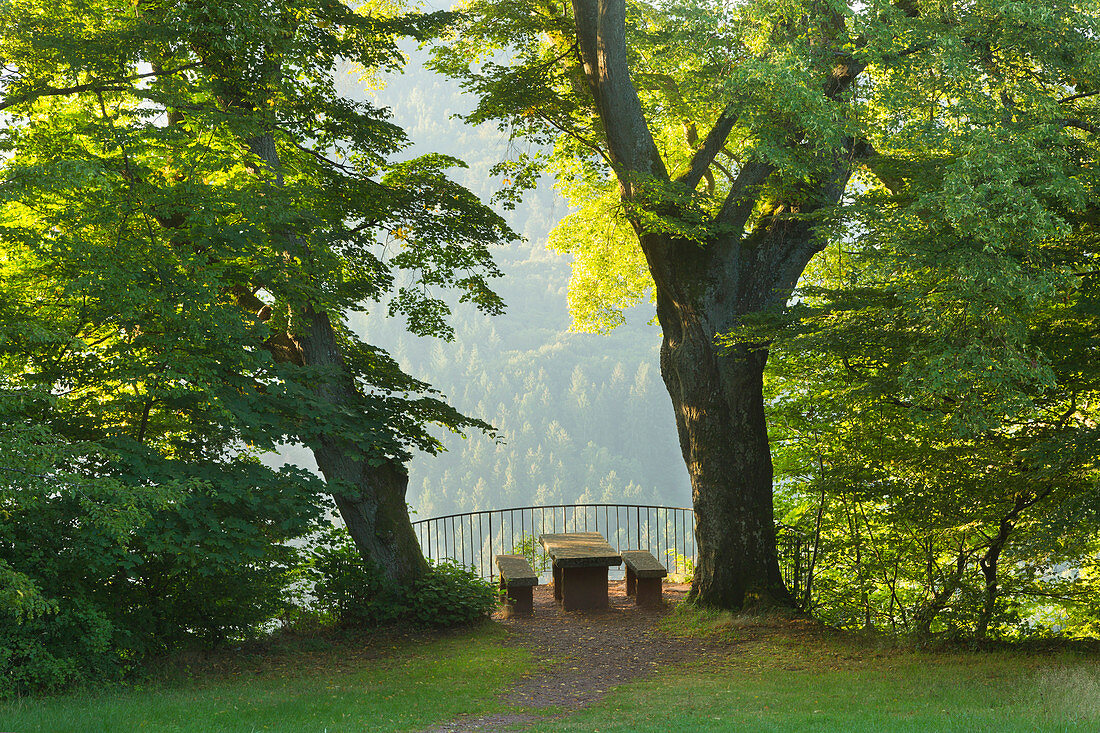 Lime trees at the lookout point Elisensitz an der Klause near Kastel-Staadt, Saar, Rhineland-Palatinate, Germany