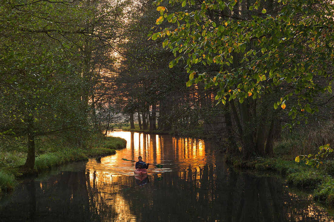 Paddle boat on a canal in the Spreewald, Brandenburg, Germany