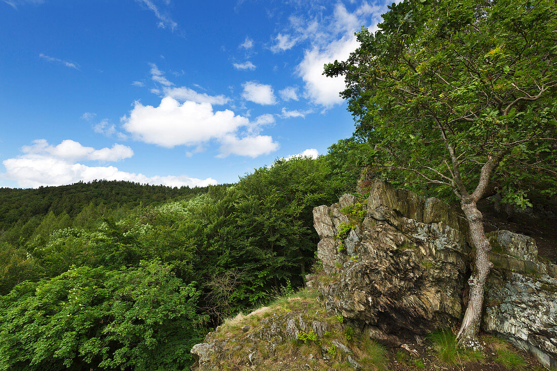 Aussichtsfelsen Großer Zacken, Taunus, Hessen, Deutschland