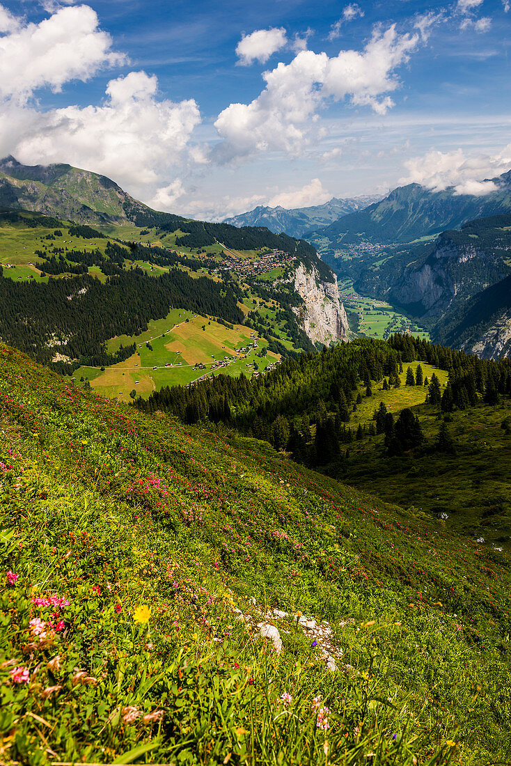 Blick auf Mürren und das Lauterbrunnental, Mürren, Lauterbrunnen, Berner Oberland, Kanton Bern, Schweiz