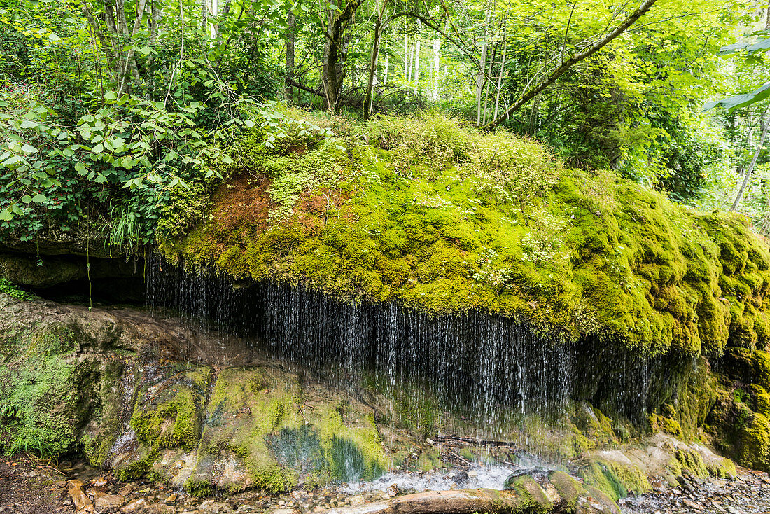 Wutach Gorge, Bonndorf, Baden-Württemberg, Black Forest, Germany