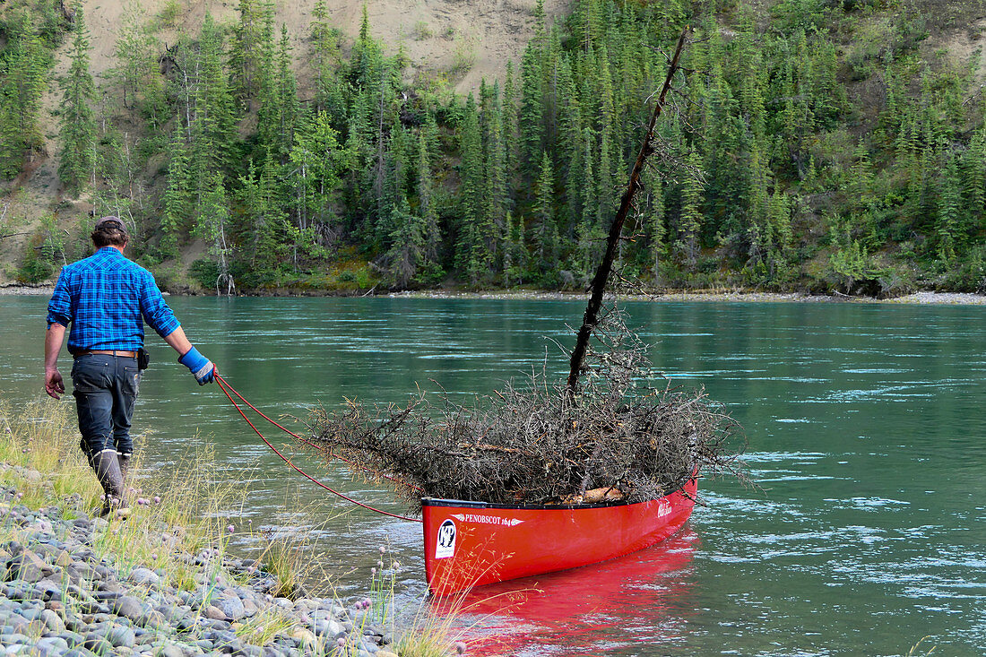 Mann zieht sein rotes Kanu, mit Holz beladen, über den Yukon River, Kanada, Yukon Territory
