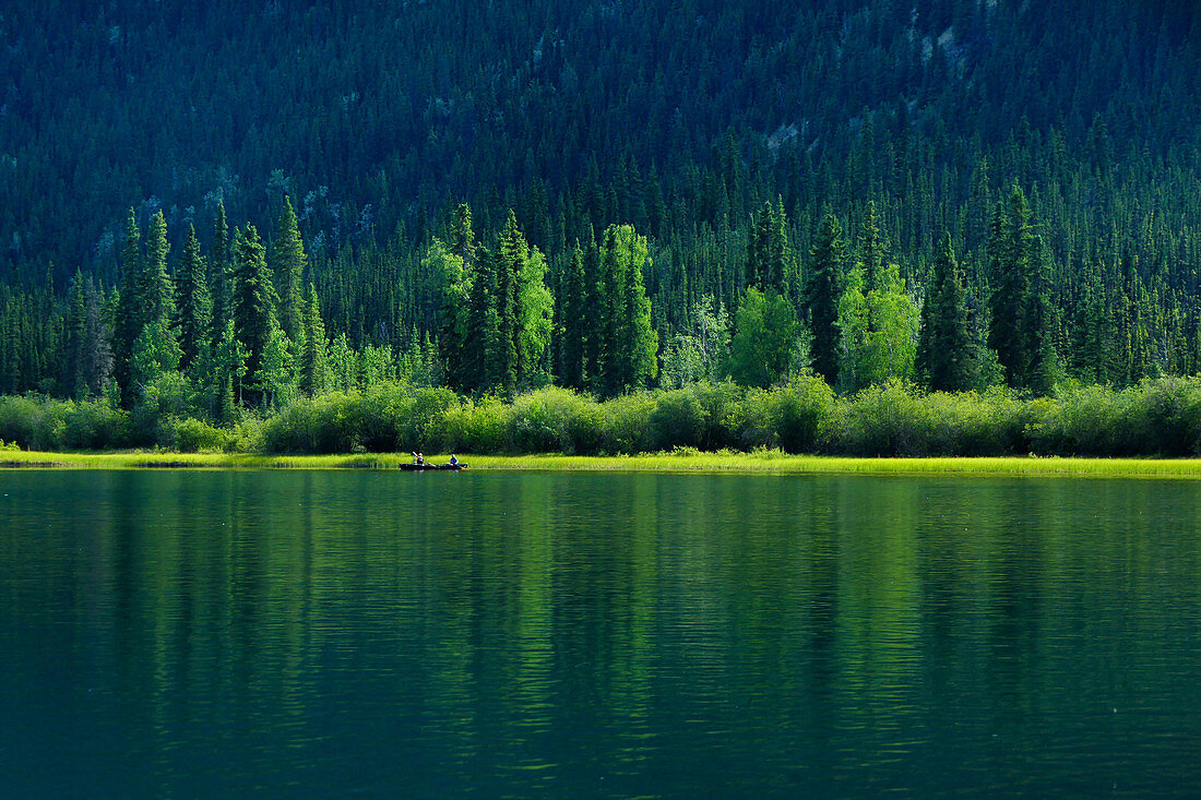 Canoeists on the Yukon River in front of a pine forest. Yukon River, Yukon, Canada