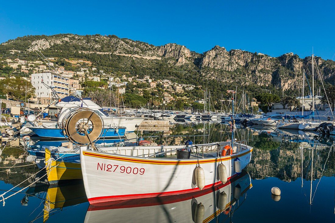 France, Alpes Maritimes, Beaulieu sur Mer, the marina