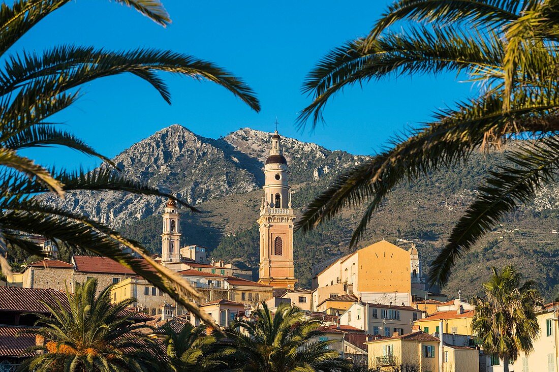 Frankreich, Alpes Maritimes, Menton, Altstadt und Basilika Saint Michel