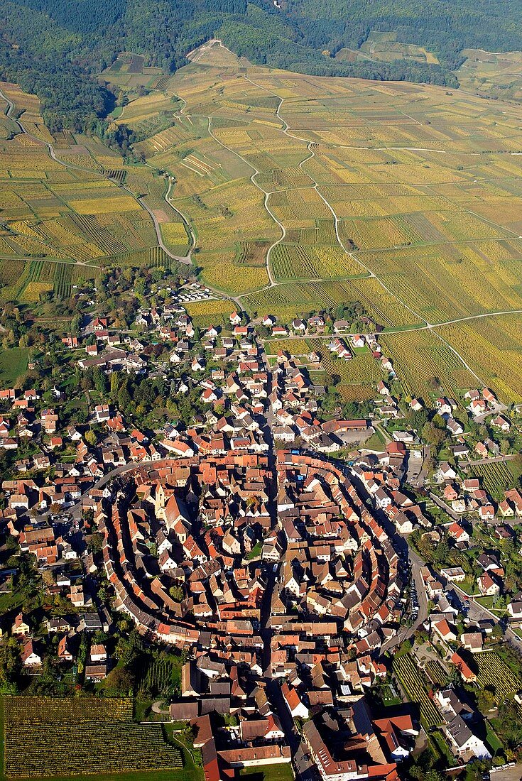 Frankreich, Haut-Rhin, Elsässer Weinstraße, Eguisheim, ausgezeichnet mit 'Les Plus Beaux Villages de France' (Die schönsten Dörfer Frankreichs), (Luftaufnahme)