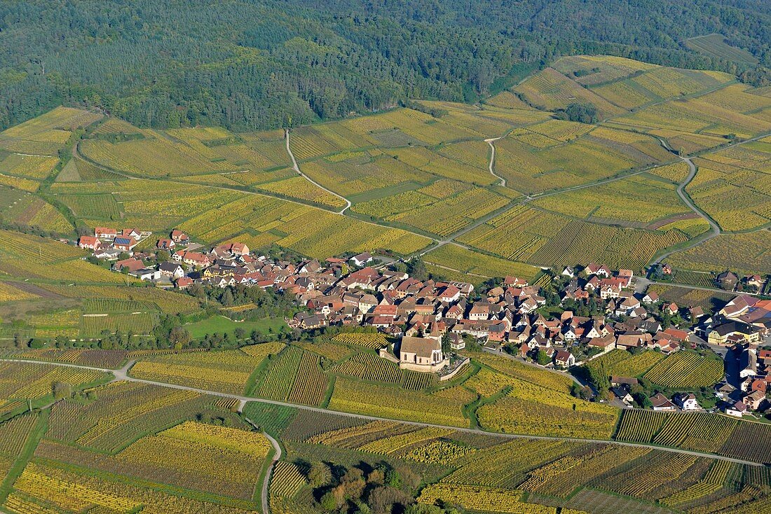 France, Haut Rhin, the Alsace Wine Route, Hunawihr, labelled Les Plus Beaux Villages de France (The Most Beautiful Villages of France), St Hune church (aerial view)