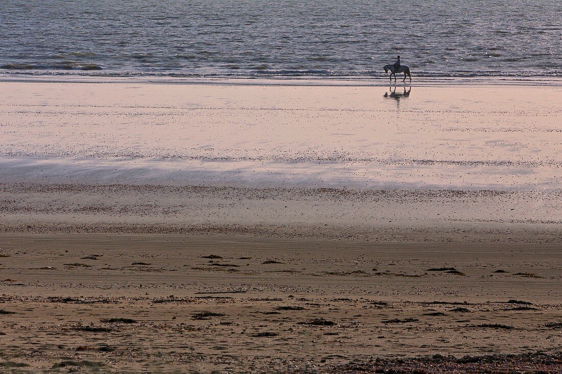 France, Vendee, Saint Jean de Monts, rider on the beach