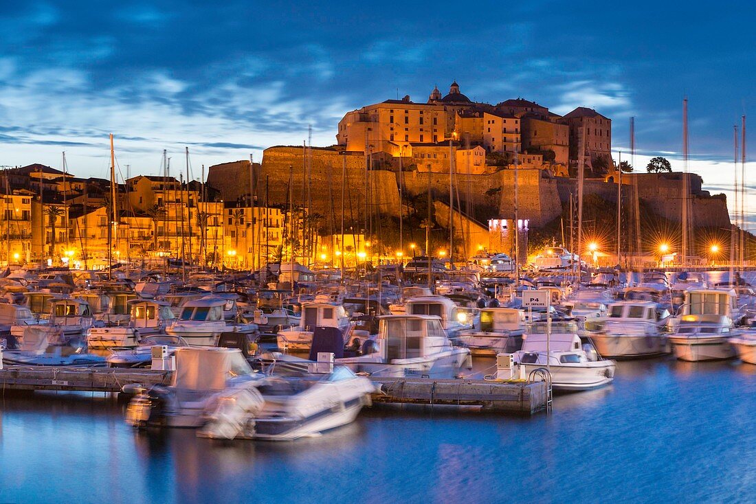France, Haute Corse, Calvi, view of the citadel from the port