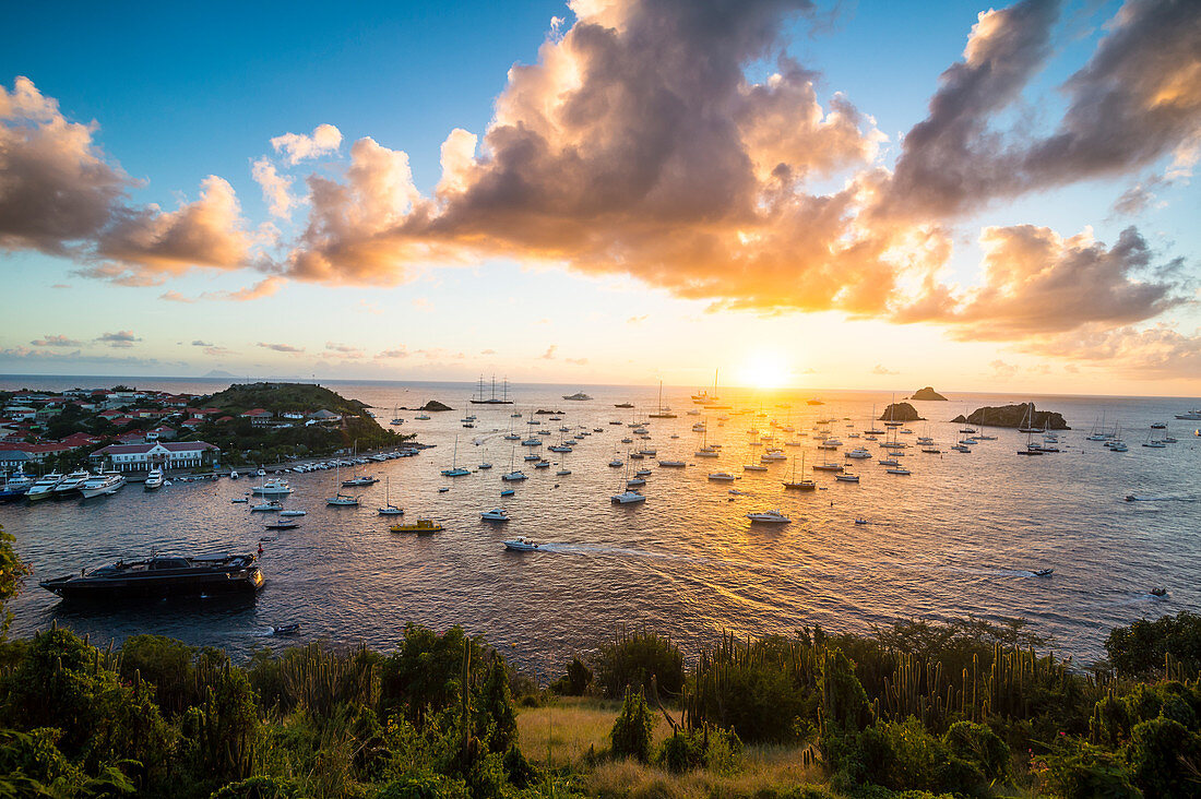 Sunset over the luxury yachts, in the harbour of Gustavia, St. Barth (Saint Barthelemy), Lesser Antilles, West Indies, Caribbean, Central America