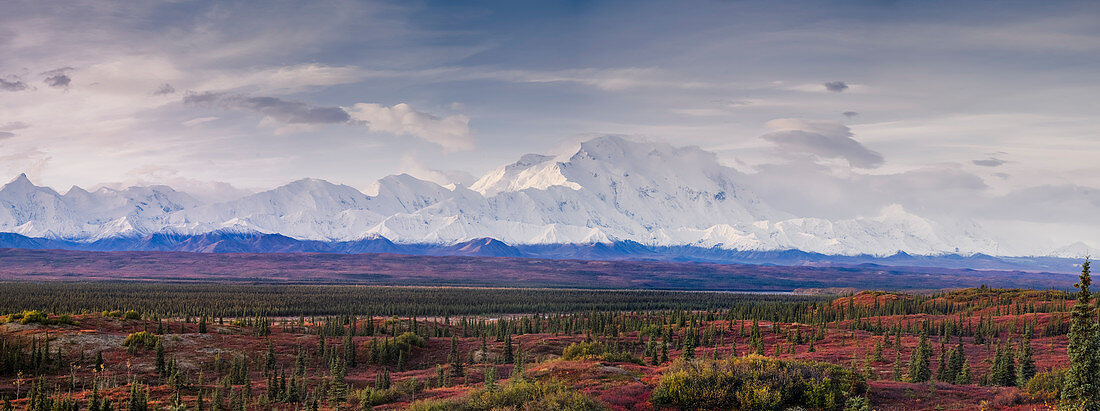 Panoramic landscape of the Denali Mountain (Mount McKinley), Denali National Park, Alaska, United States of america, North America