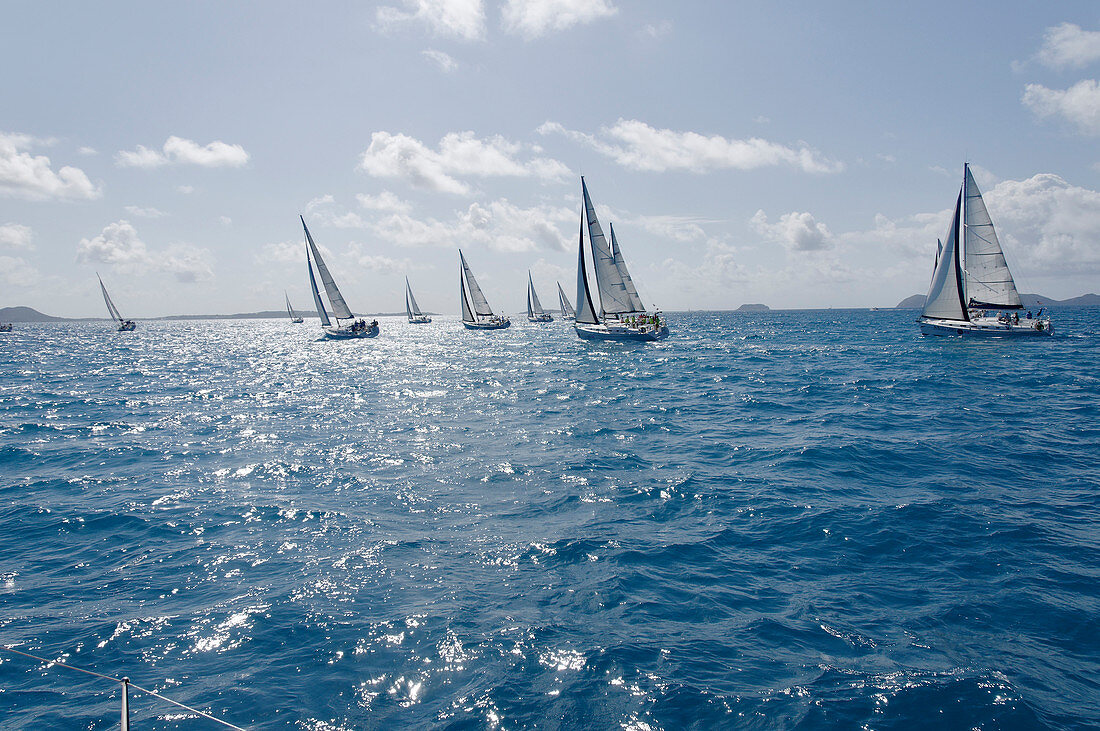 Segelboot-Regatte, Britische Jungferninseln, Westindische Inseln, Karibik, Mittelamerika