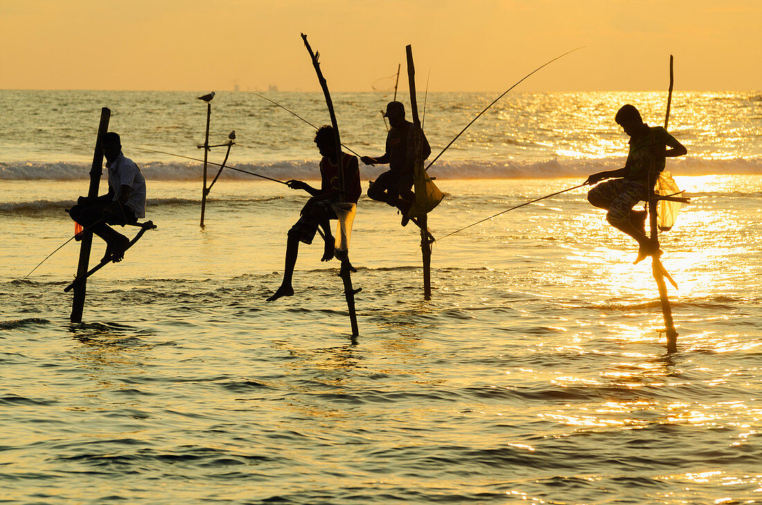 Stilt fishermen, Dalawella, Sri Lanka, Indian Ocean, Asia