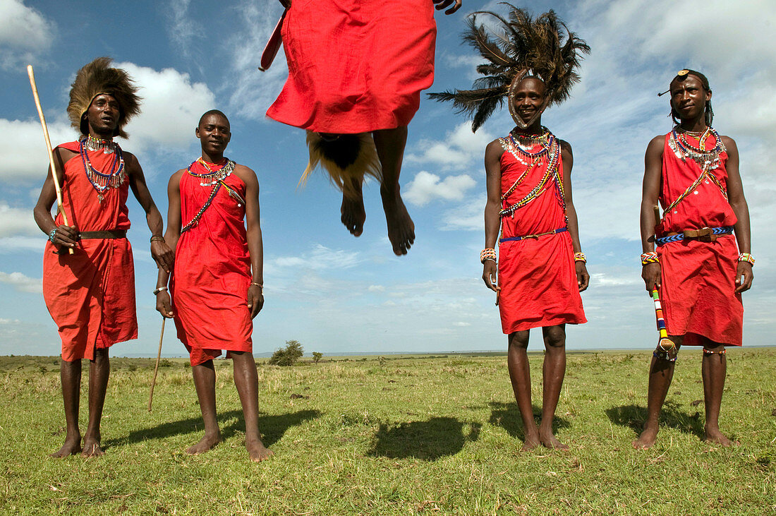 Massai beim Kriegertanz, Masai Mara, Kenia, Ostafrika, Afrika