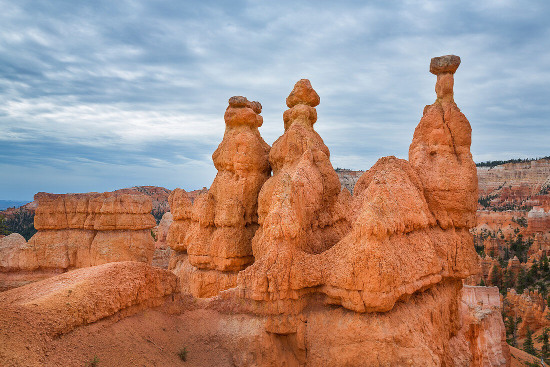 Rock towers hoodos in Bryce Canyon National Park, USA