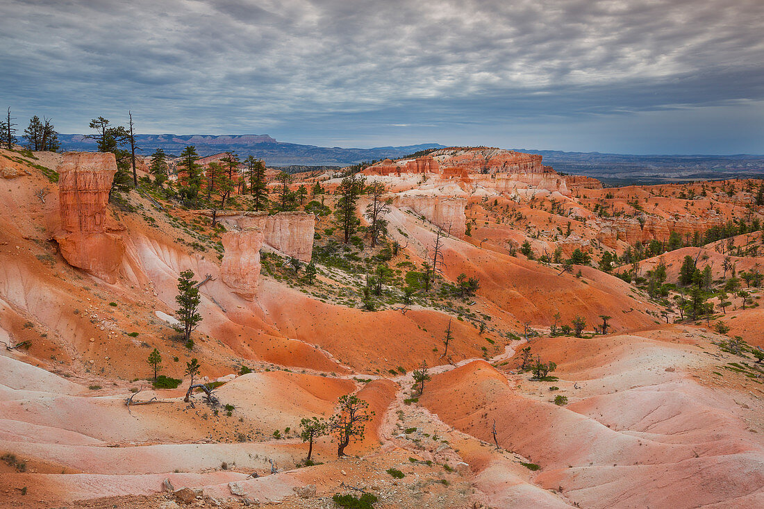 Felstürme Hoodos im Nationalpark Bryce Canyon, USA\n