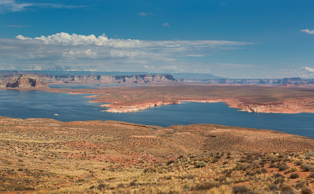 Blick auf Lake Powell bei Page am Tag, Arizona, USA