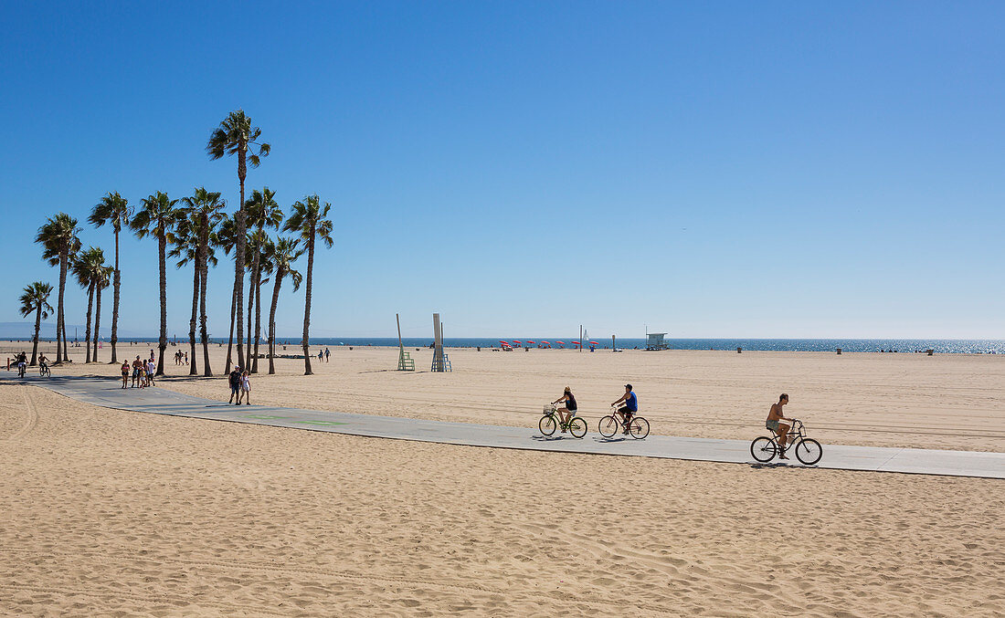Venice beach in Los Angeles with palm trees and cyclists, USA