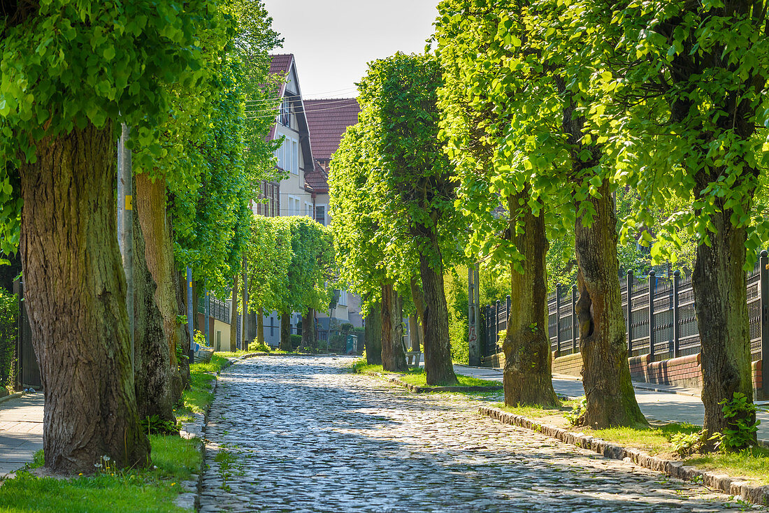 Villenviertel aus der Vorkriegszeit, Straße Podhalanska, Danzig Oliwa, Polen, Europa