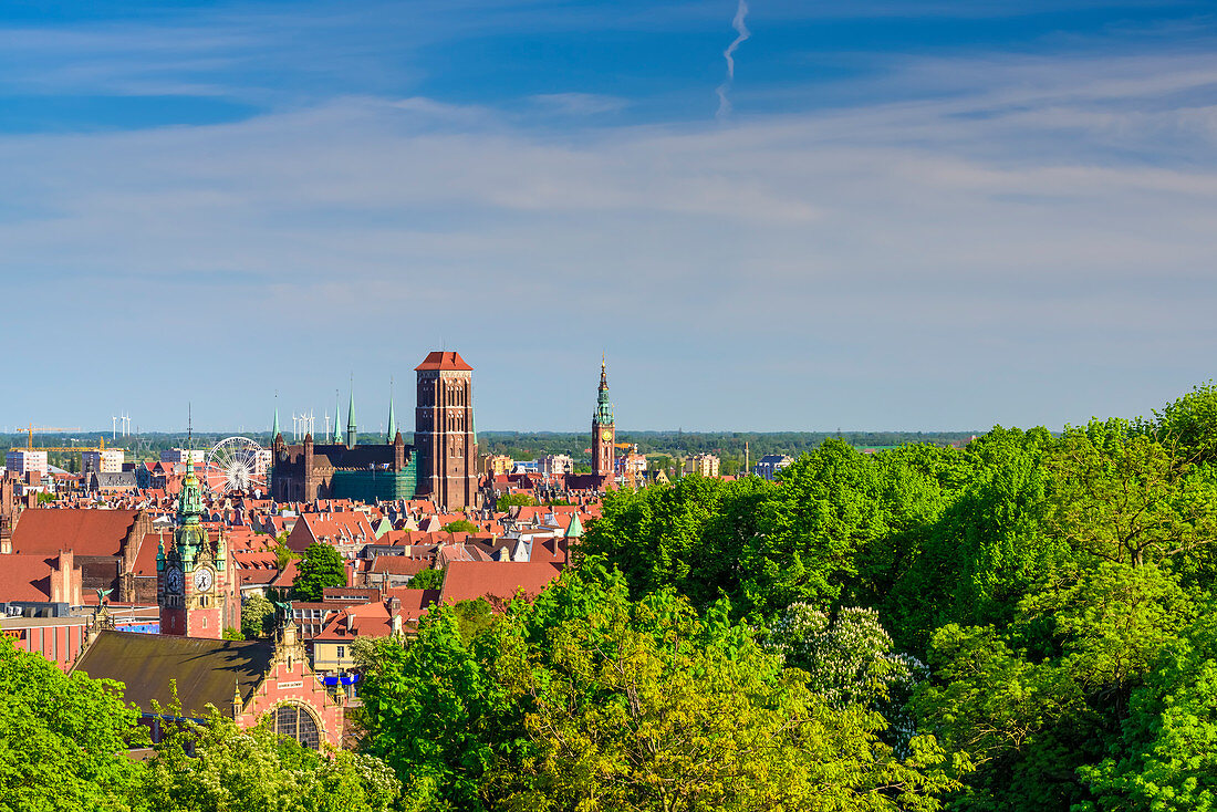 View from the Gradowa hill towards medieval old town. On the left main railway station, in the middle basilica of St. Mary of the Assumption of the Blessed Virgin Mary in Gdansk, commonly known as Mariacki church, and thin tower of City Hall. Gdansk, Main City, Pomorze region, Pomorskie voivodeship, Poland, Europe