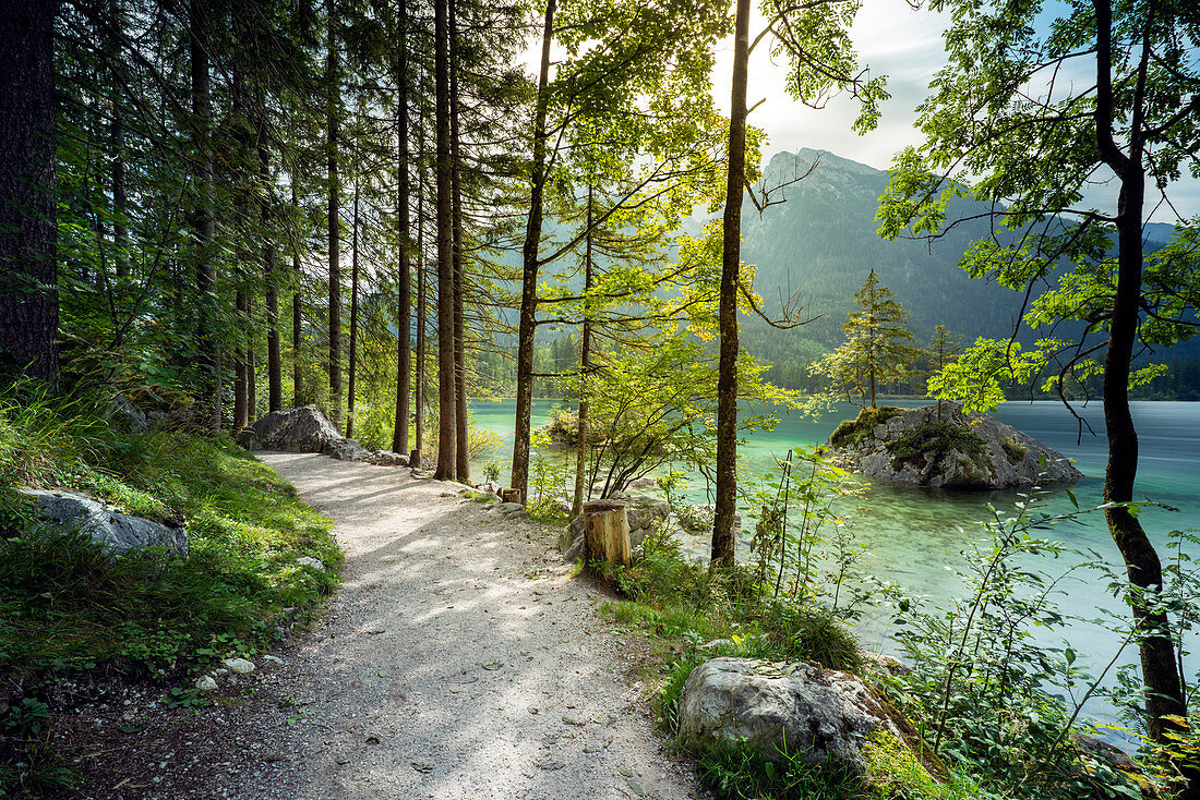 Path on Hintersee with a view of the Hochkalter, Ramsau, Berchtesgaden National Park, Berchtesgadener Land, Upper Bavaria, Bavaria, Germany, Europe