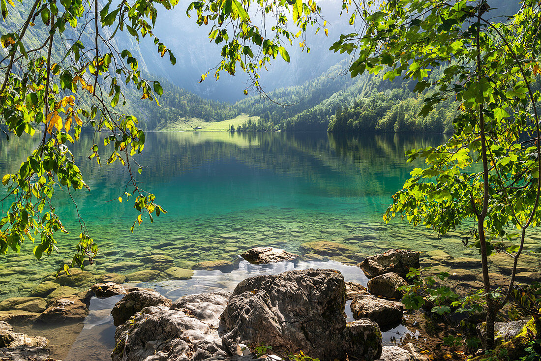 Obersee, Blick zur Fischunkelalm, Nationalpark Berchtesgaden, Berchtesgadener Land, Oberbayern, Bayern, Deutschland, Europa