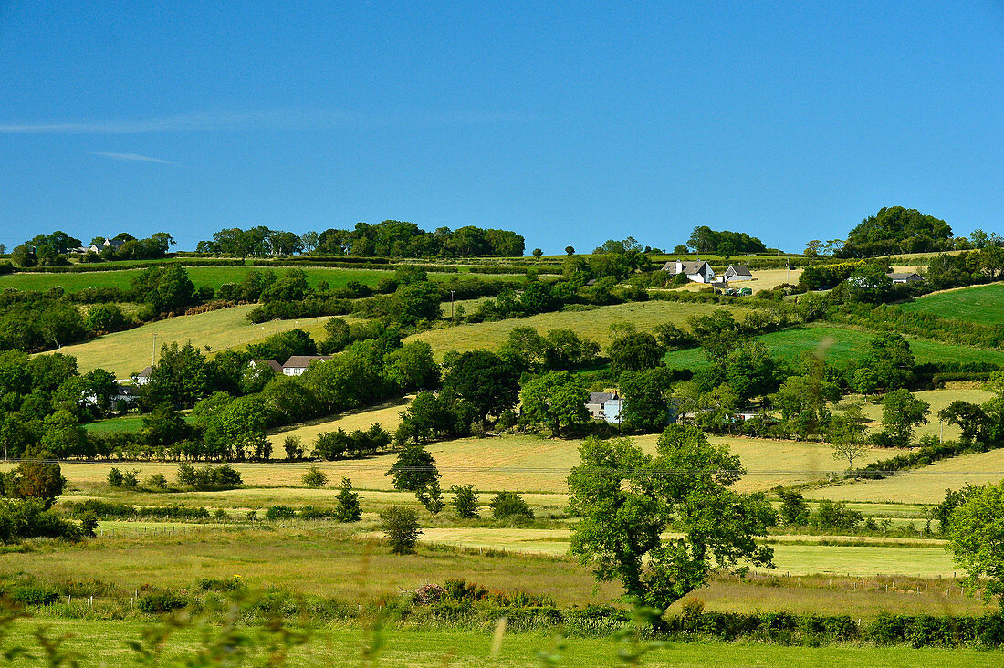 Felder und einzelne Farmhäuser an einem Sommertag bei Islandmagee, Nordirland