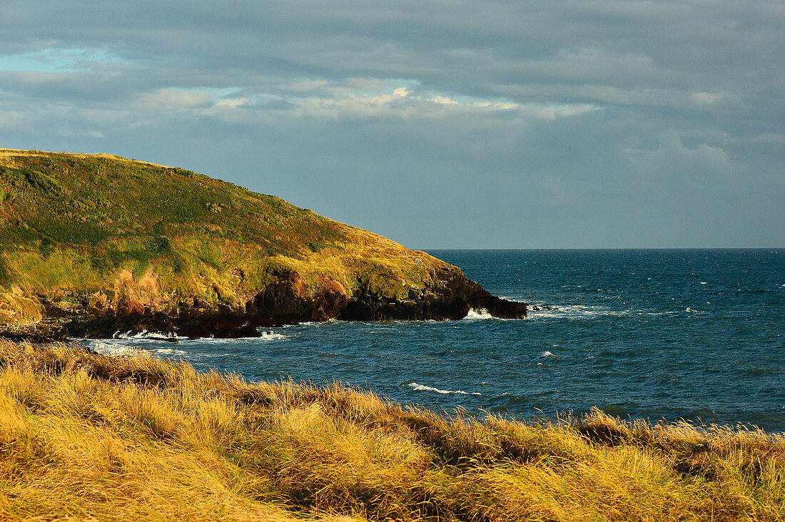Grasbewachsene Klippen am Atlantik bei Ardmore, County Waterford, Irland