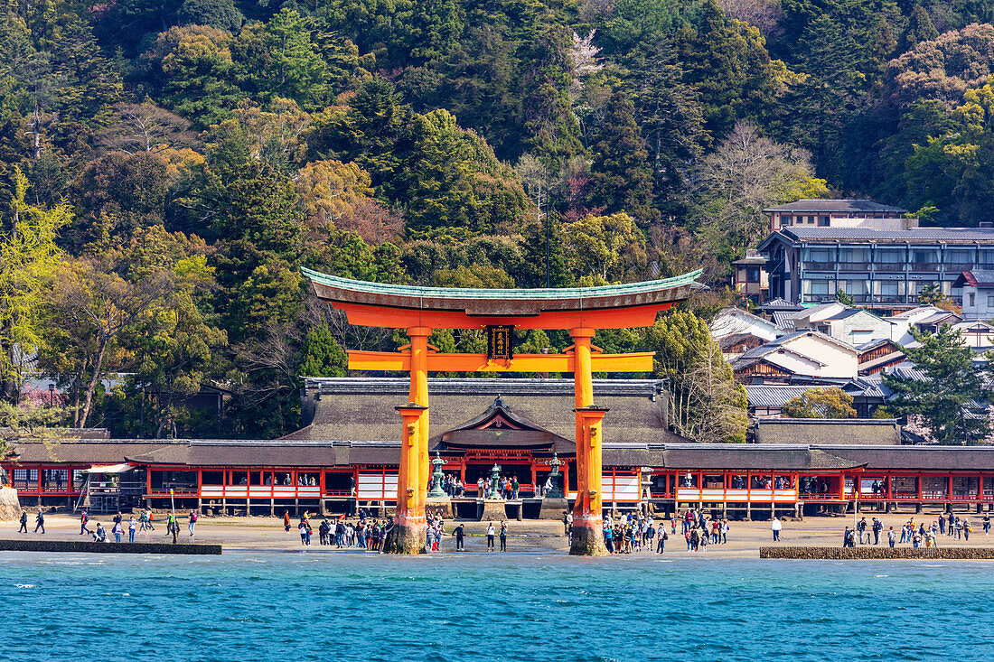 Floating torii gate of Itsukushima Jinja, UNESCO World Heritage Site, Miyajima Island, Hiroshima Prefecture, Honshu, Japan, Asia