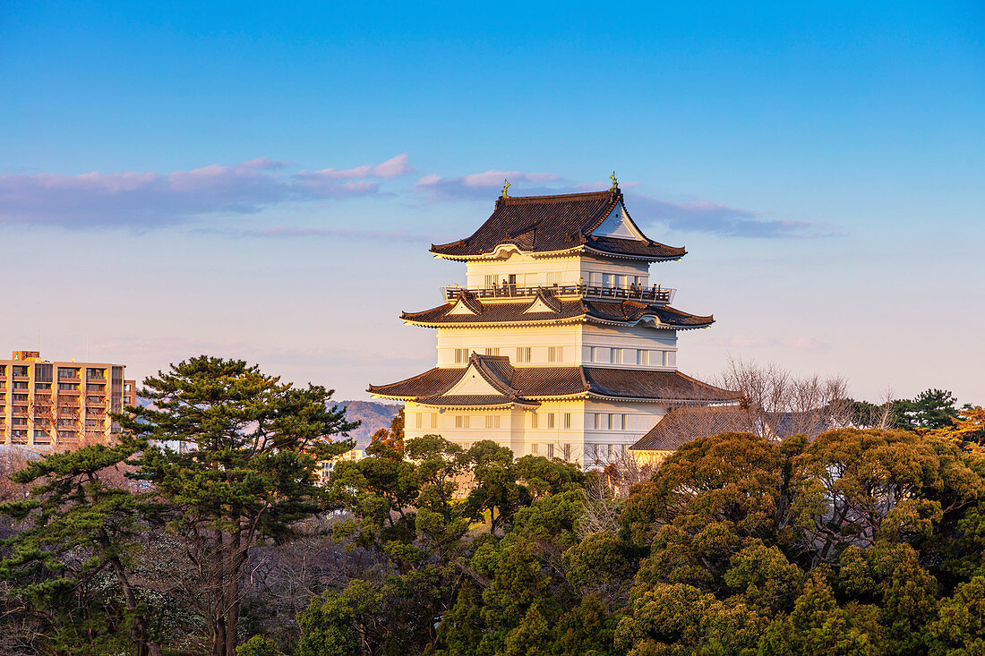 Odawara Castle, Odawara, Kanagawa Prefecture, Honshu, Japan, Asia
