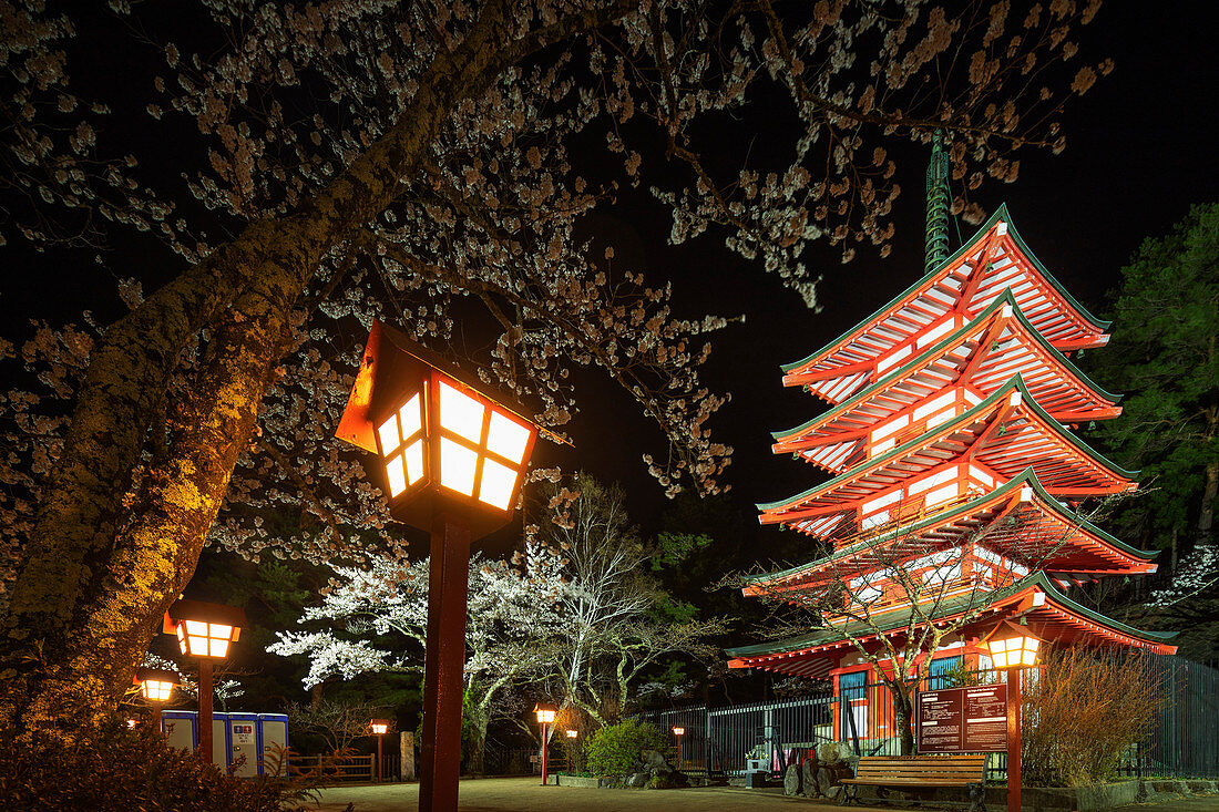 Cherry blossom at Chureito Pagoda in Arakurayama Sengen Park, Yamanashi Prefecture, Honshu, Japan, Asia