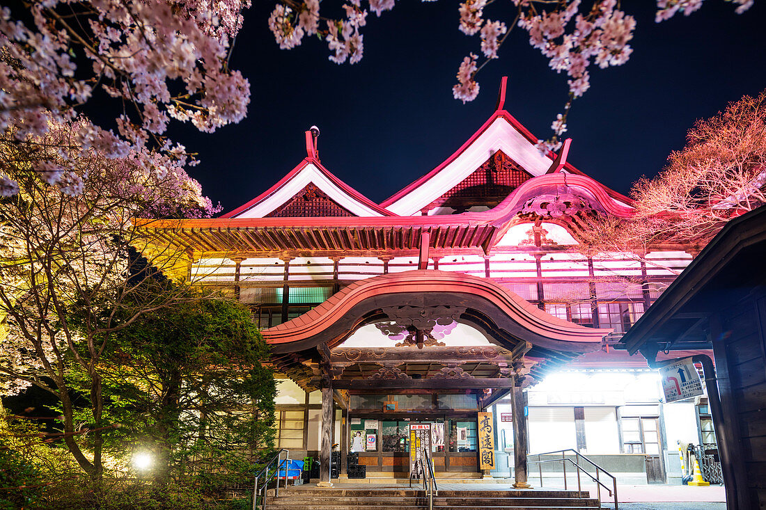 Kirschblüte bei Burg Takato, Takato, Präfektur Nagano, Honshu, Japan, Asien