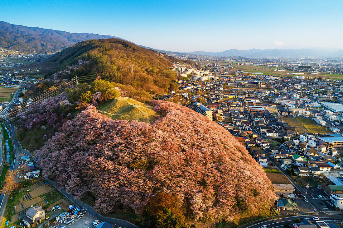 Kirschblüte bei Koboyama, Matsumoto, Präfektur Nagano, Honshu, Japan, Asien