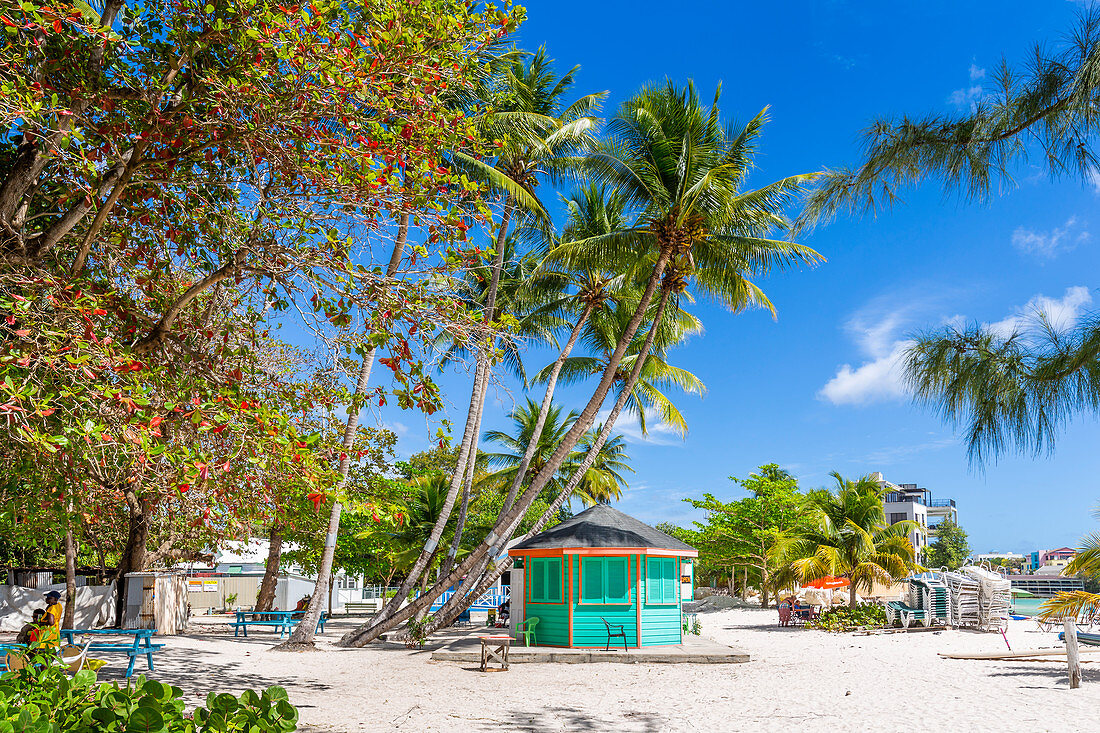 Blick auf den palmengesäumten Worthing Beach, Barbados, Westindische Inseln, Karibik, Mittelamerika