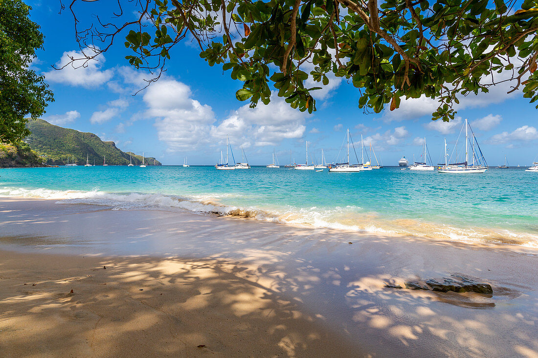 The beach at Port Elizabeth, Admiralty Bay, Bequia, The Grenadines, St. Vincent and the Grenadines, Windward Islands, West Indies, Caribbean, Central America