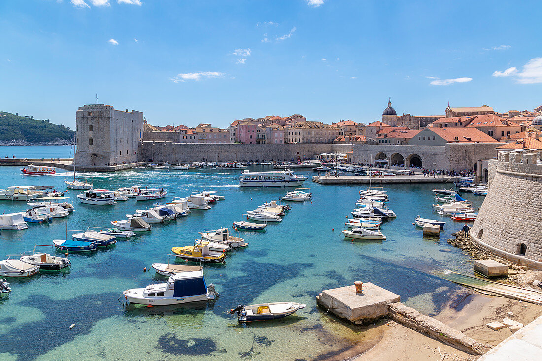 View of harbour, Dubrovnik Old Town, UNESCO World Heritage Site, and Adriatic Sea, Dubrovnik, Dalmatia, Croatia, Europe