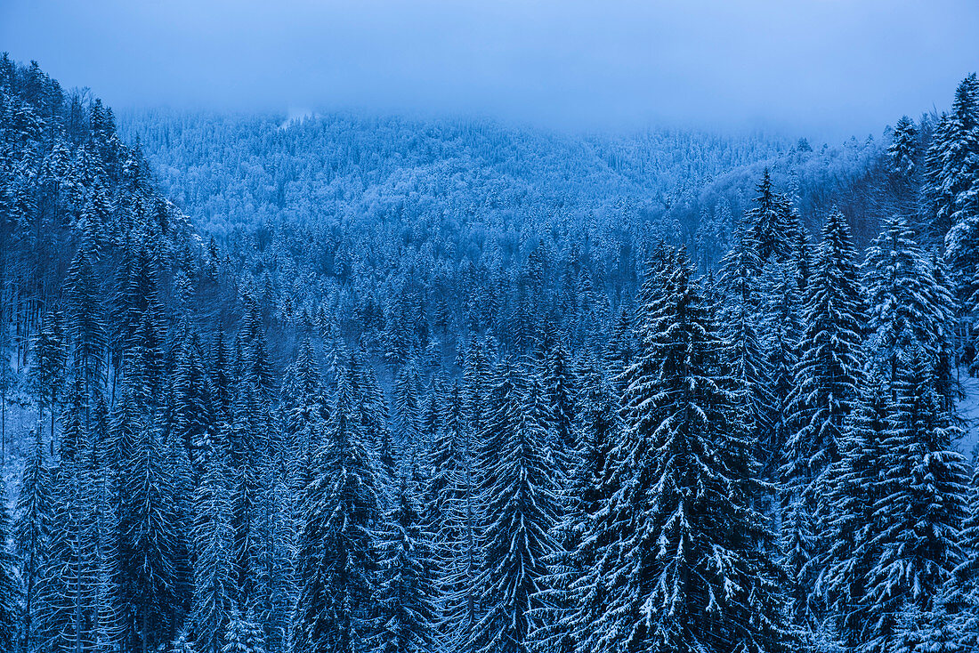 Winterlandschaften in den Karpaten bei Brasov, Brasov County, Rumänien, Europa