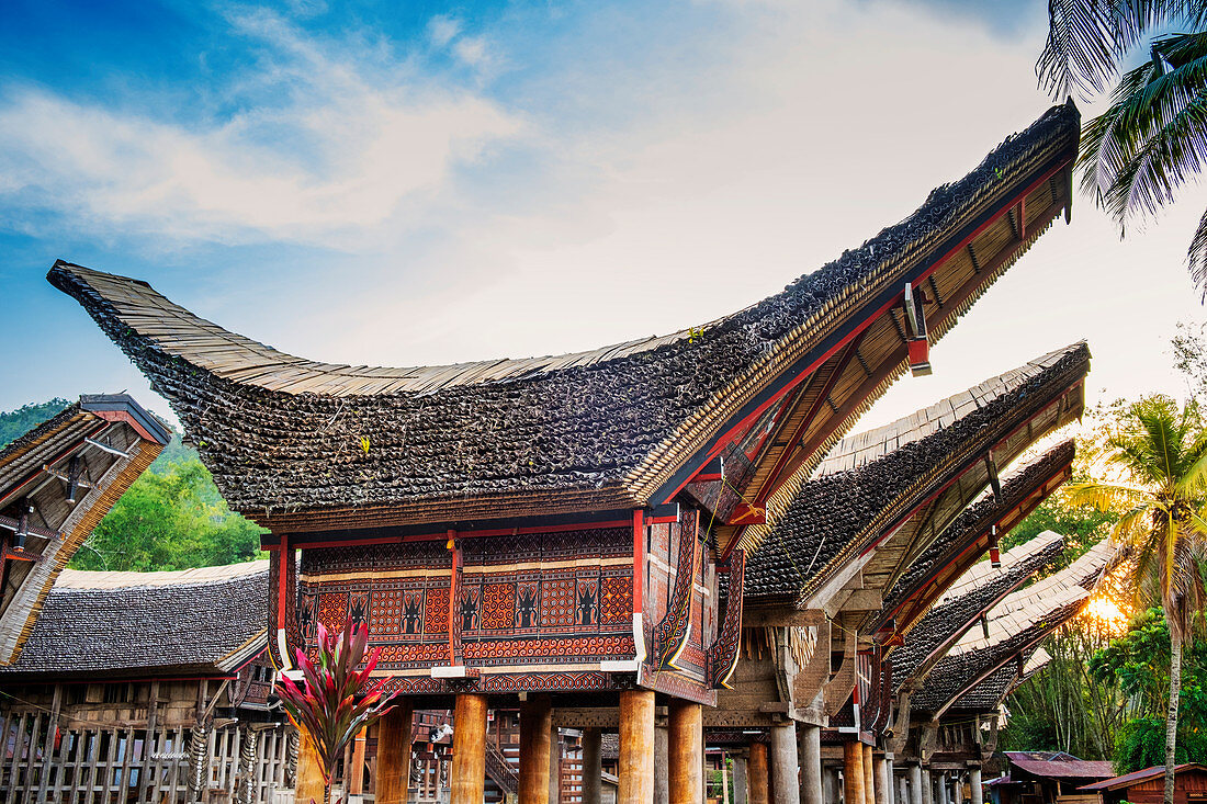 Ein Reisbauerndorf mit traditionellen Torajan Tongkonan Langhäusern, Tana Toraja, Sulawesi, Indonesien, Südostasien, Asien