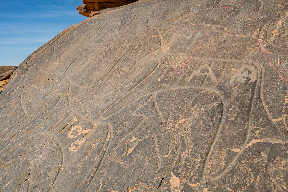 Prähistorische Felszeichnungen in der Nähe der Oase von Taghit, Westalgerien, Nordafrika, Afrika
