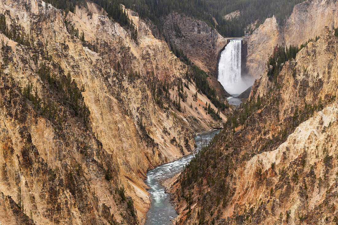 Yellowstone National Park, UNESCO-Weltkulturerbe, Wyoming, Vereinigte Staaten von Amerika, Nordamerika