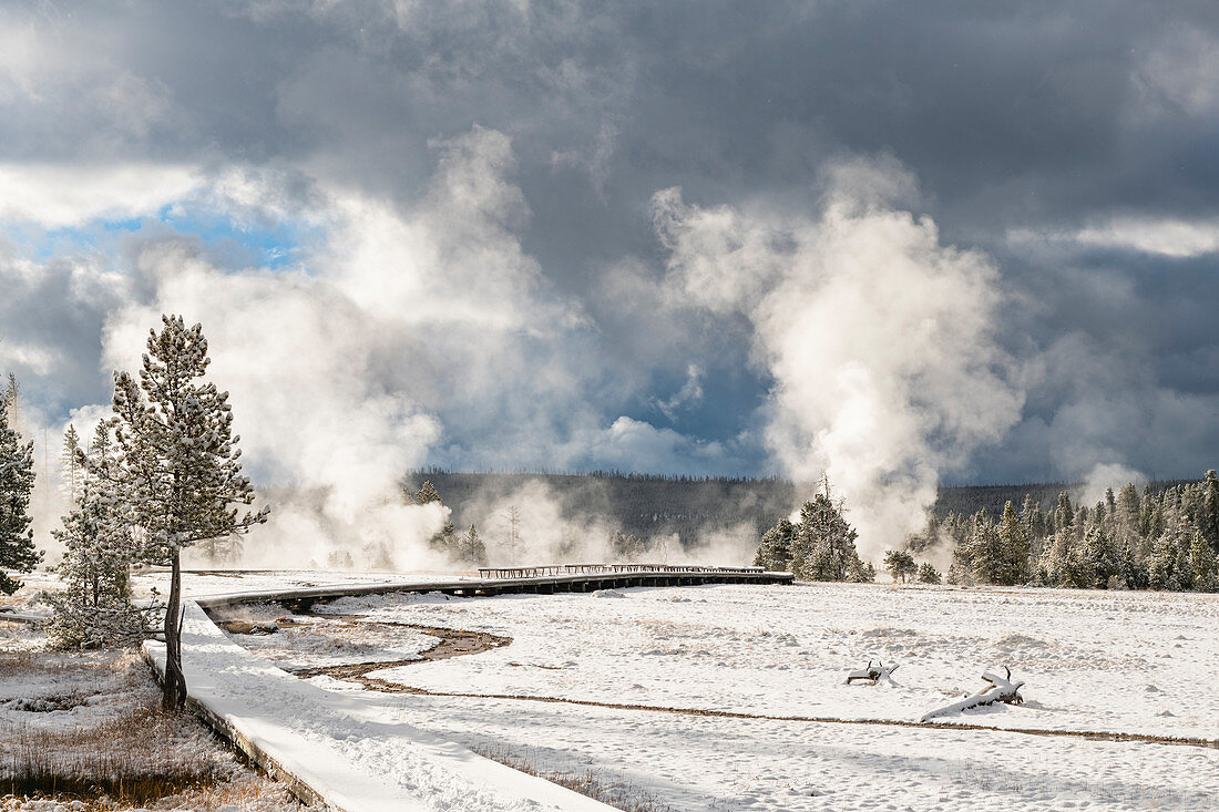 Yellowstone National Park, UNESCO-Weltkulturerbe, Wyoming, Vereinigte Staaten von Amerika, Nordamerika