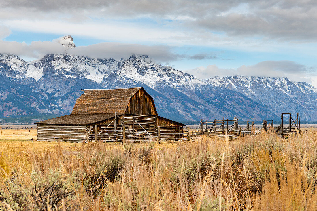 Mormon Row and Teton Range, Grand Teton National Park, Wyoming, United States of America, North America