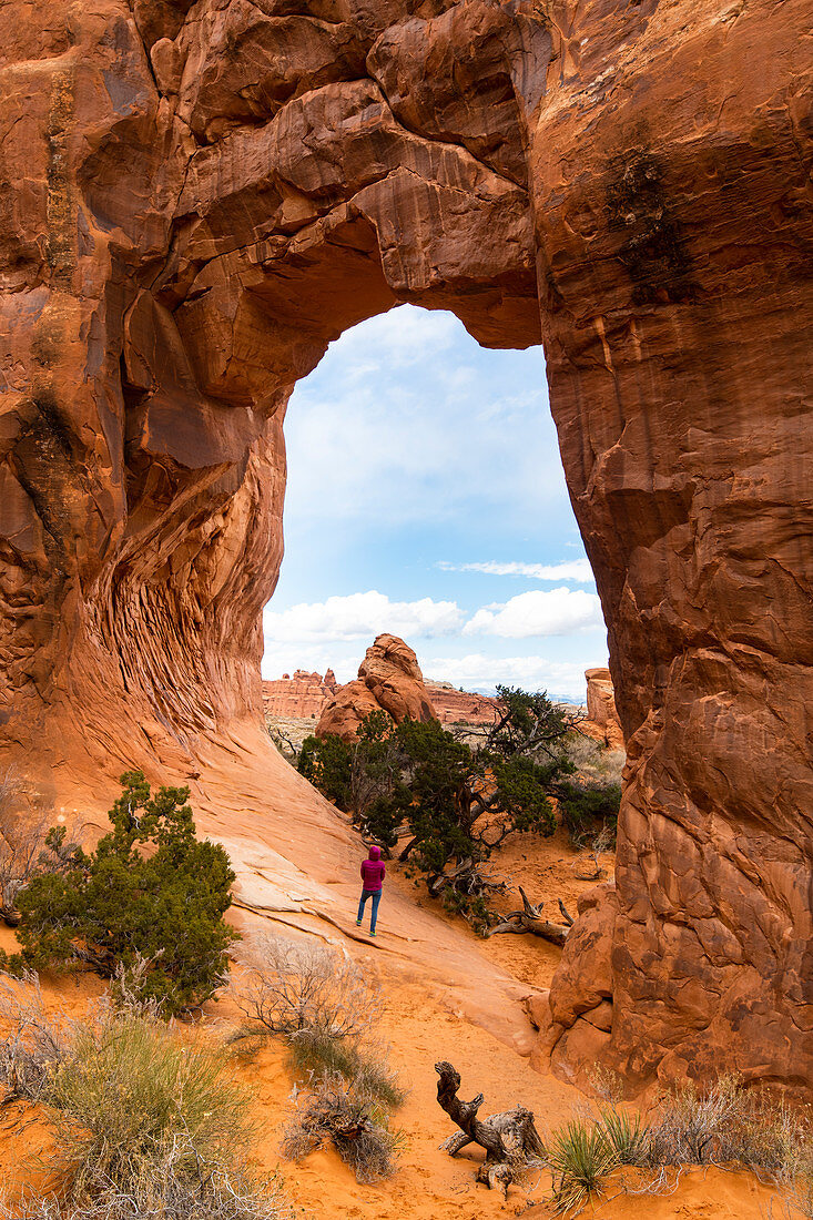 Arches National Park, Moab, Utah, Vereinigte Staaten von Amerika, Nordamerika