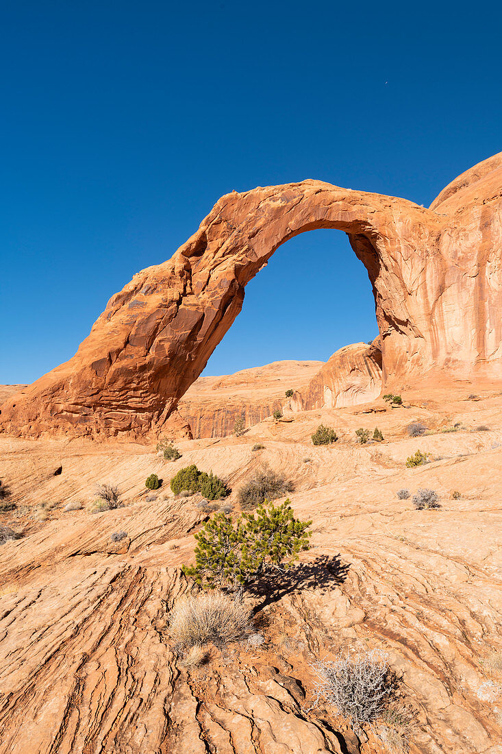 Corona Arch and Bootlegger Canyon, Moab, Utah, United States of America, North America