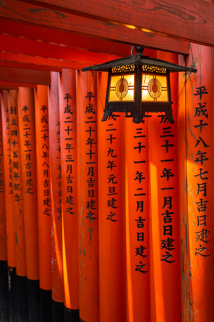 Fushimi Inari Taisha Schrein und Torii Tore, Kyoto, Japan, Asien