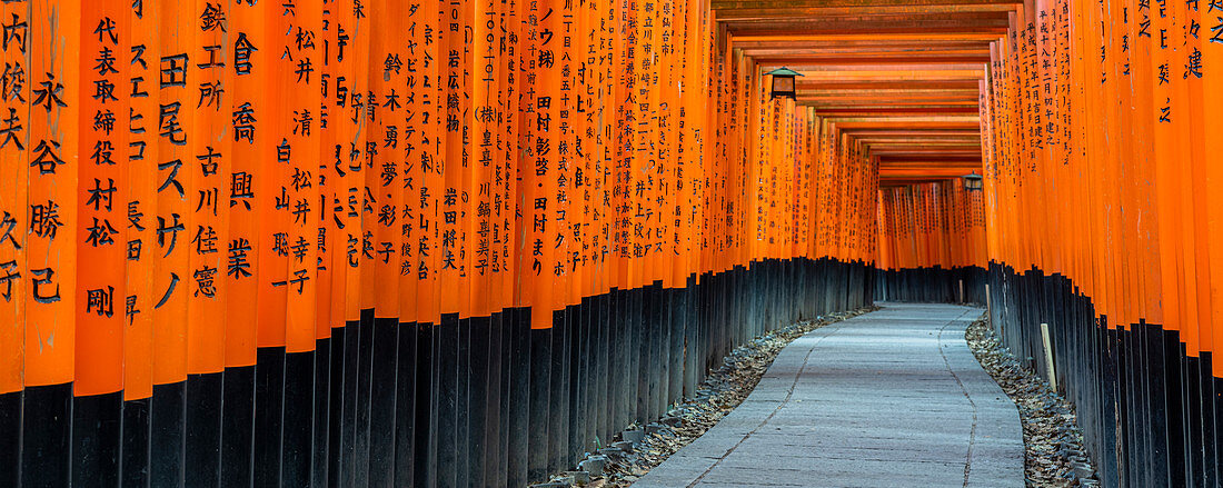 Fushimi Inari Taisha Schrein und Torii Tore, Kyoto, Japan, Asien