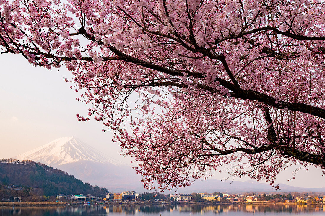 Sonnenaufgang über dem Berg Fuji, der sich im Kawaguchi-See spiegelt, Japan, Asien