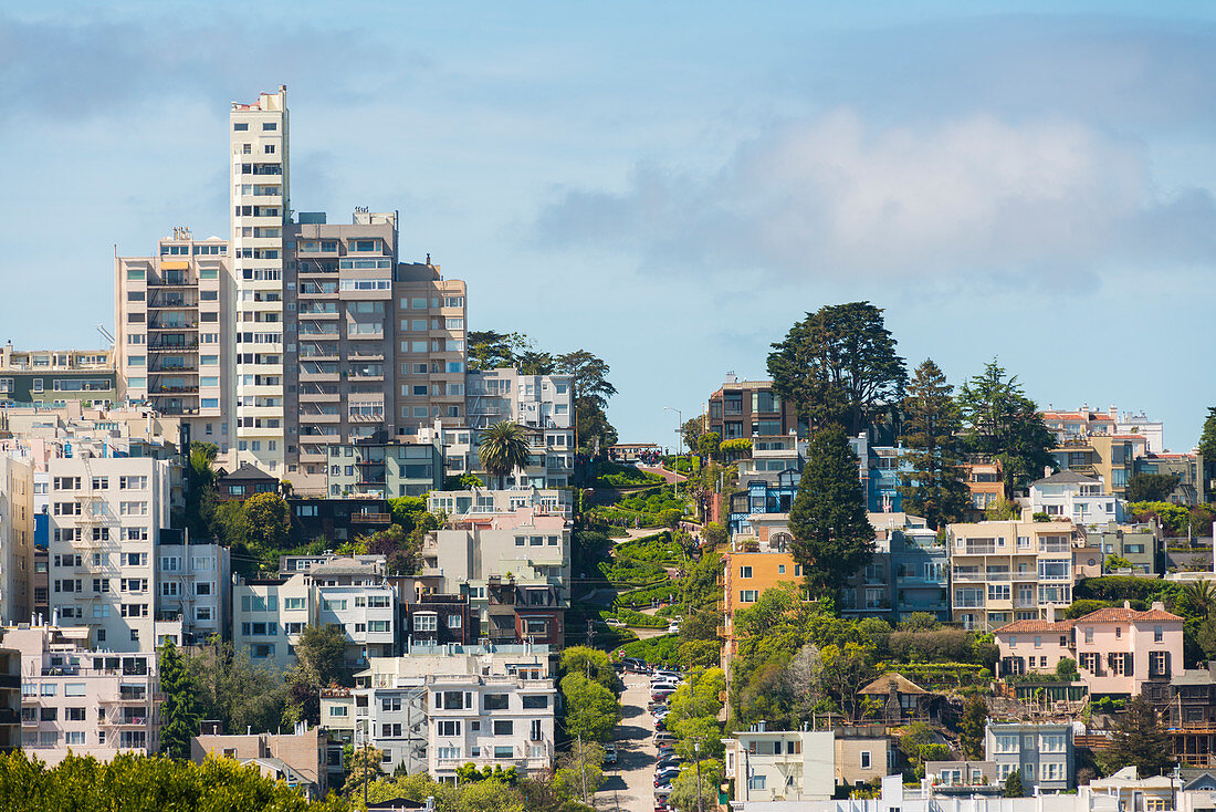 Lombard Street, San Francisco, California, United States of America, North America