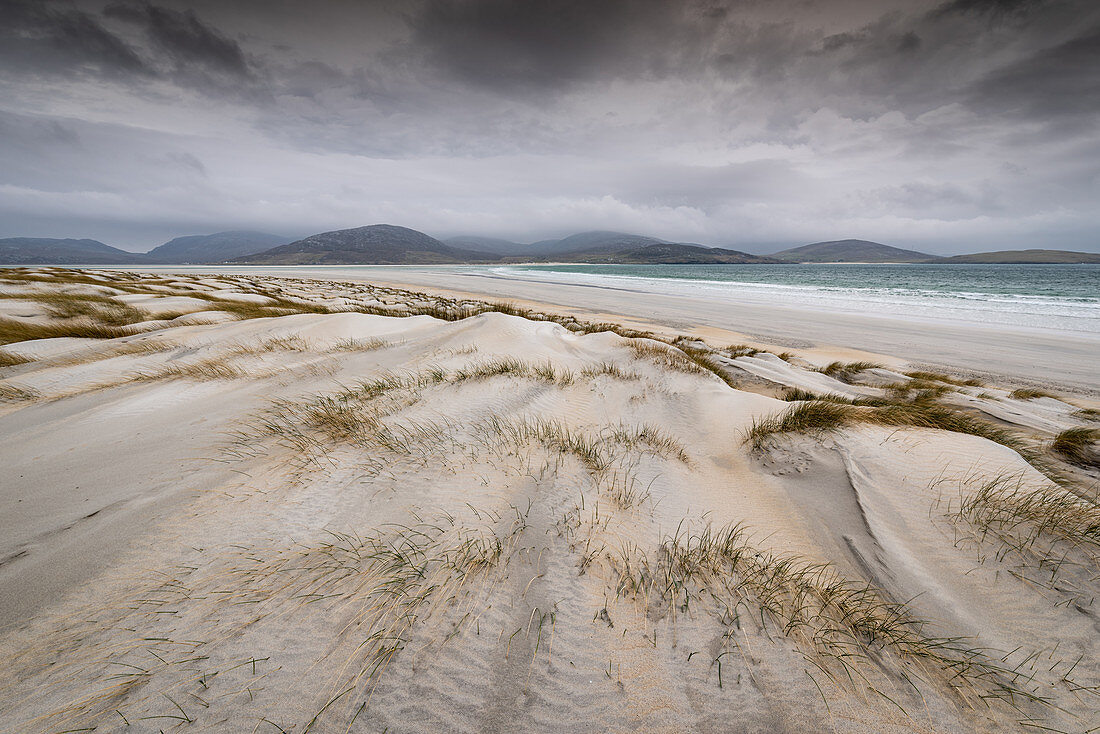 Sand dunes, Luskentyre Beach, West Harris, Outer Hebrides, Scotland, United Kingdom, Europe